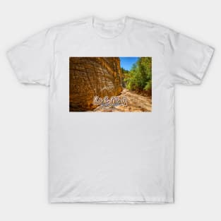 Lick Wash Trail Hike T-Shirt